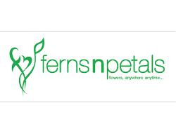 shop-bamboo-plants-and-receive-up-to-40-savings-on-your-order-some-restrictions-apply-prices-reflect-discount-no-ferns-n-petals-coupon-code-needed
