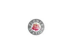 bloom-go-spring-flowers-delivered-fast