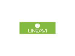 Lineavi