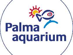 Palmaaquarium