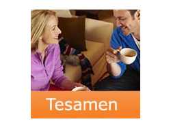 Tesamen